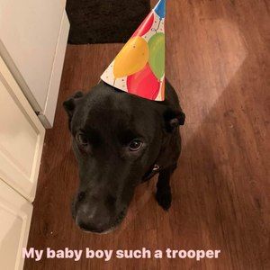 Meet your Posher, Myra